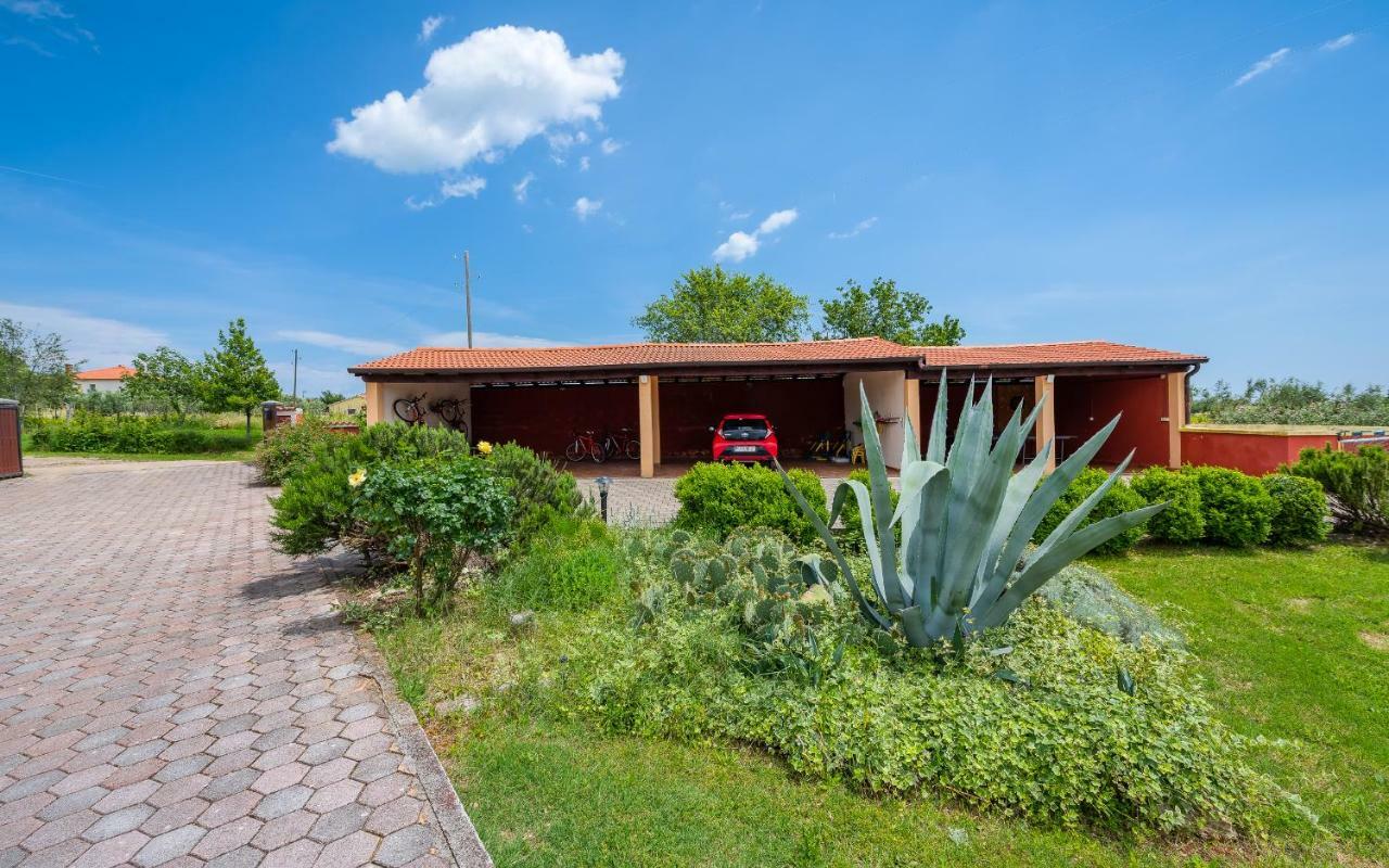 Muntić Hacienda Rosemaryヴィラ エクステリア 写真